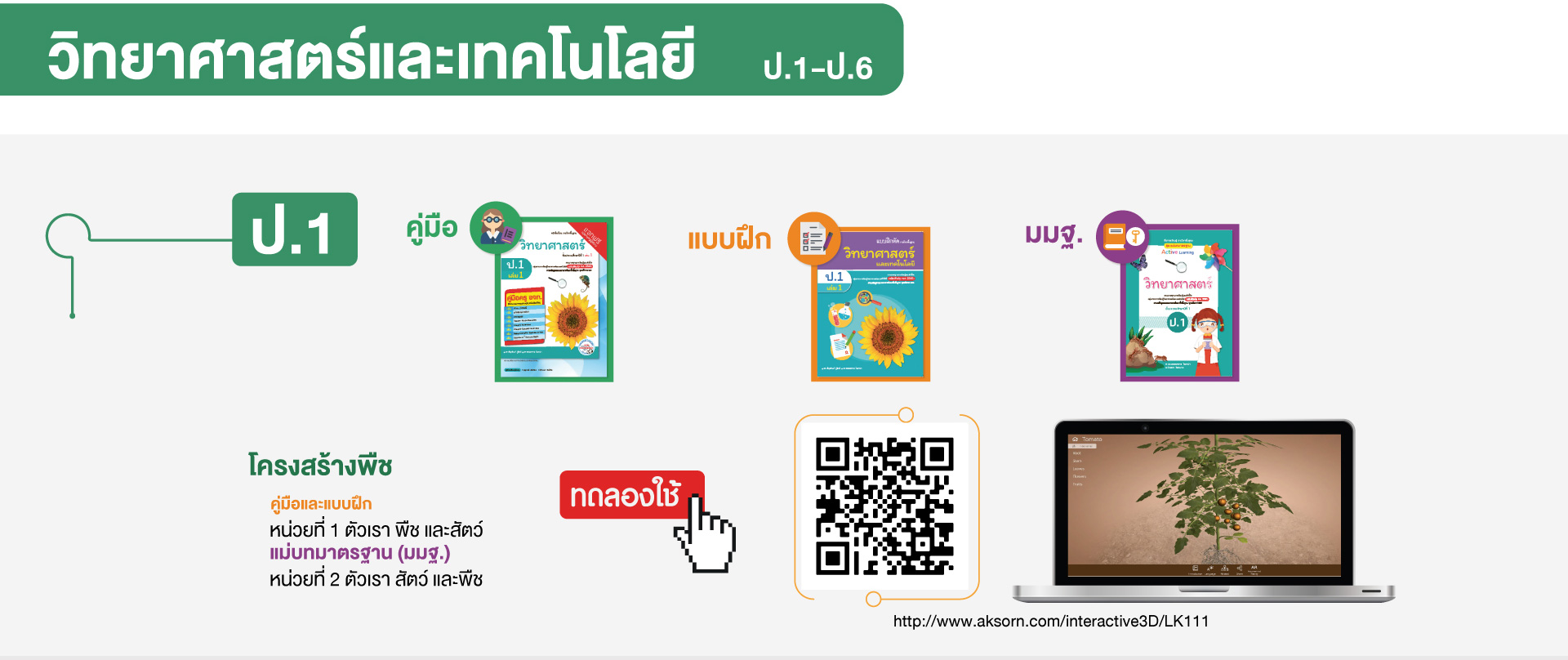 วิทยาศาสตร์และเทคโนโลยี ป.1 โครงสร้างพืช